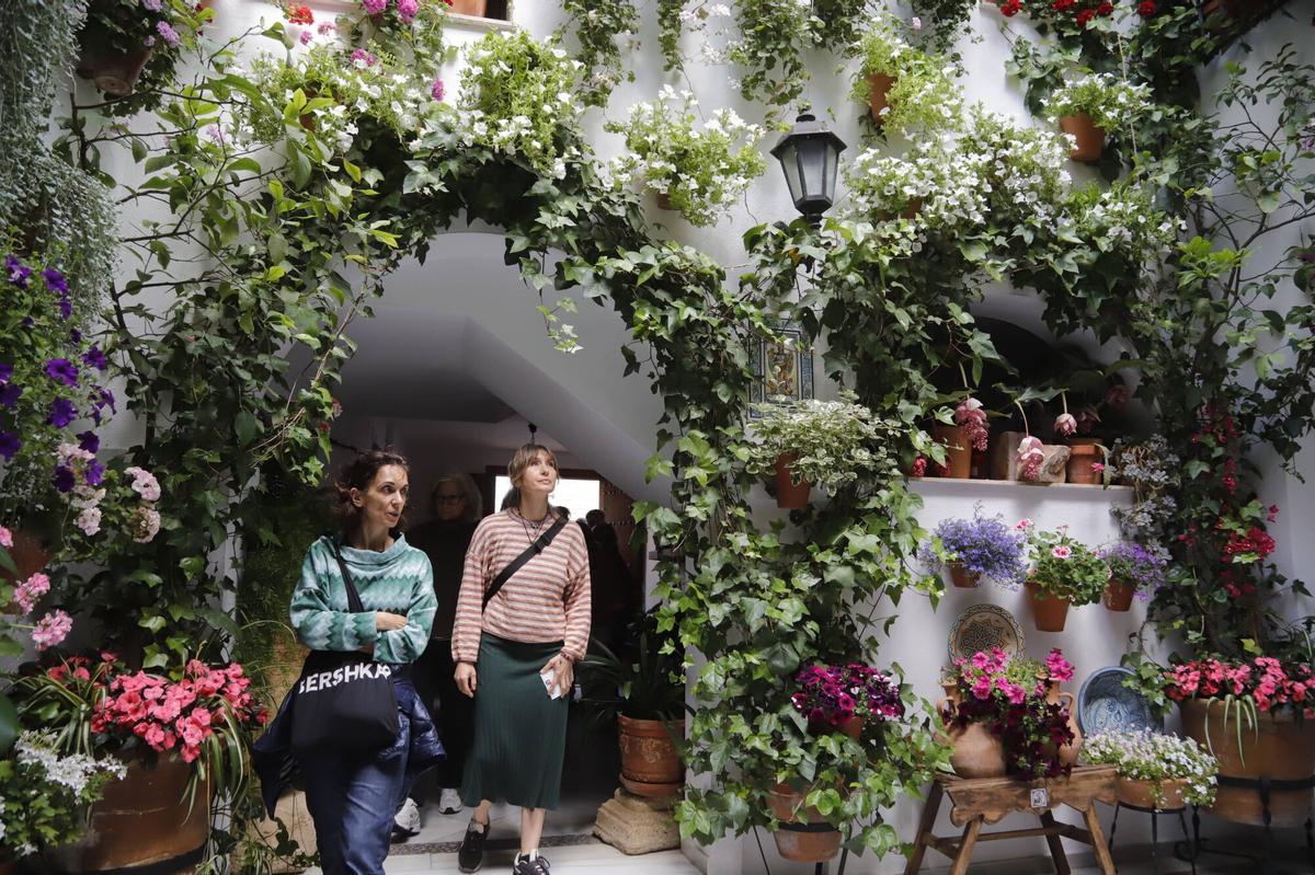 Patio San Basilio 15