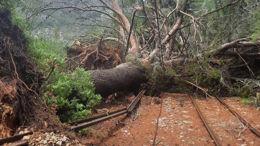 Nach Schäden durch Unwetter: Sóller-Zug nimmt seinen Betrieb wieder auf