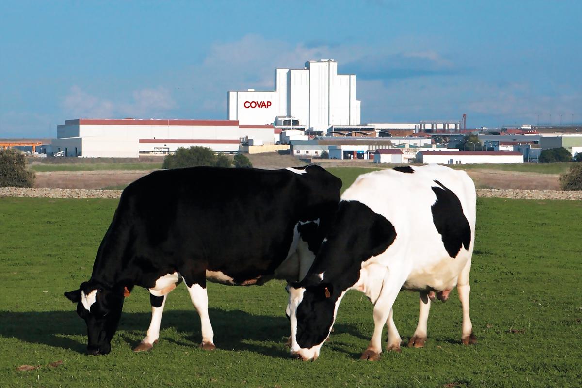 La producción lechera de Córdoba supone el 65% de toda la que se obtiene en Andalucía.