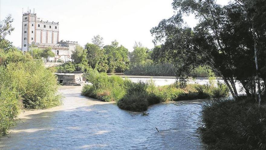 Alertan de la formación de una isleta que disminuye el cauce del río Genil