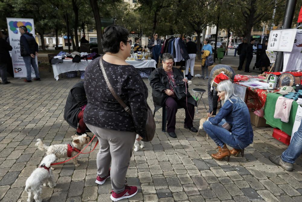 Mercadillo solidario en Nou Llevant