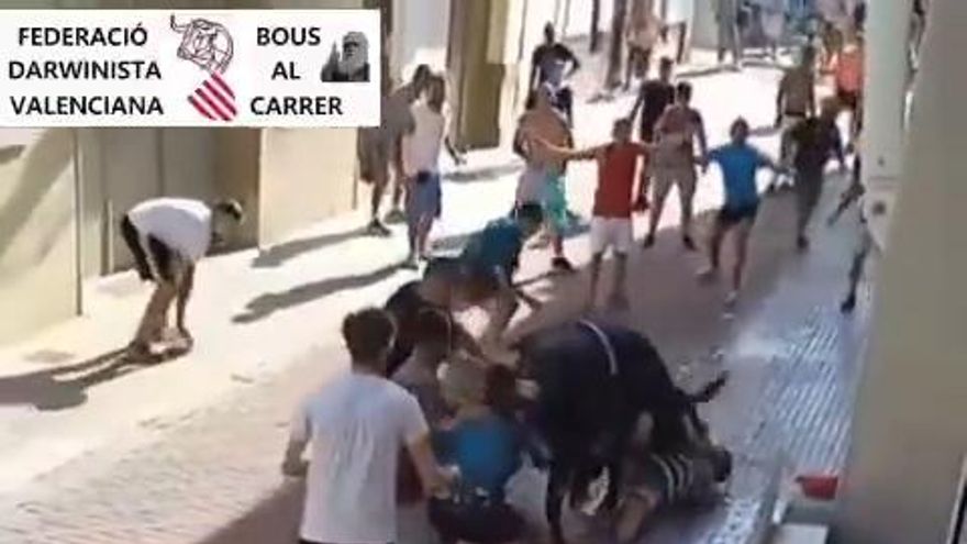 Vecinos de El Palmar sufren otro reventón de una tubería.
