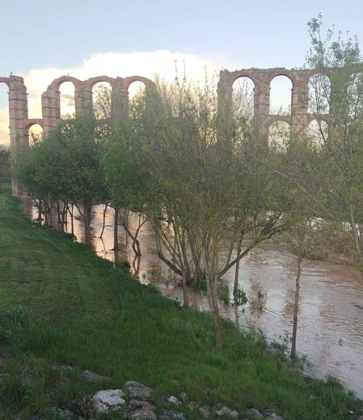 Las lluvias aumentan el caudal del río Albarregas.