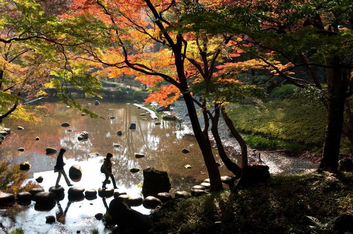 Jardín botánico de Koishikawa