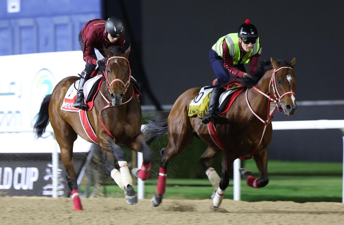 Los jinetes montan a American Stage (izquierda) de EEUU y a Forever Young (derecha) de Japón durante los preparativos para la Copa Mundial de Dubái 2026 en el hipódromo de Meydan de Dubái.