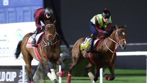 Los jinetes montan a American Stage (izquierda) de EEUU y a Forever Young (derecha) de Japón durante los preparativos para la Copa Mundial de Dubái 2026 en el hipódromo de Meydan de Dubái.