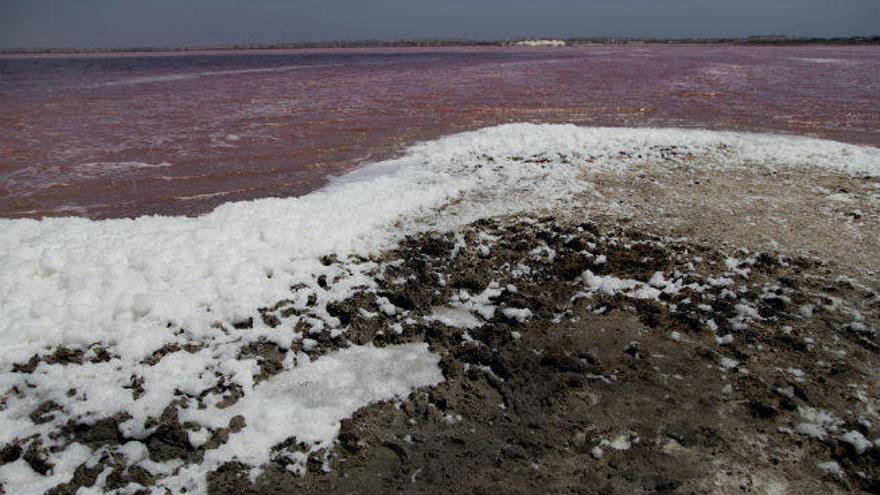 Las salinas de Santa Pola y Torrevieja, un paisaje único