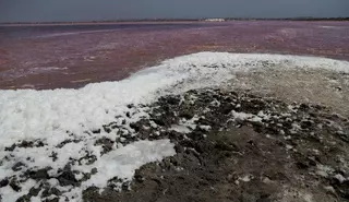Las salinas de Santa Pola y Torrevieja, un paisaje único