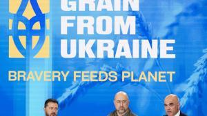 El presidente de Ucrania, Volodímir Zelenski, el primer ministro, Denys Shmyhal, y el presidente de Suiza, Alain Berset, durante la cumbre de seguridad alimentaira Grano de Ucrania celebrada el pasado 25 de noviembre en Kiev.