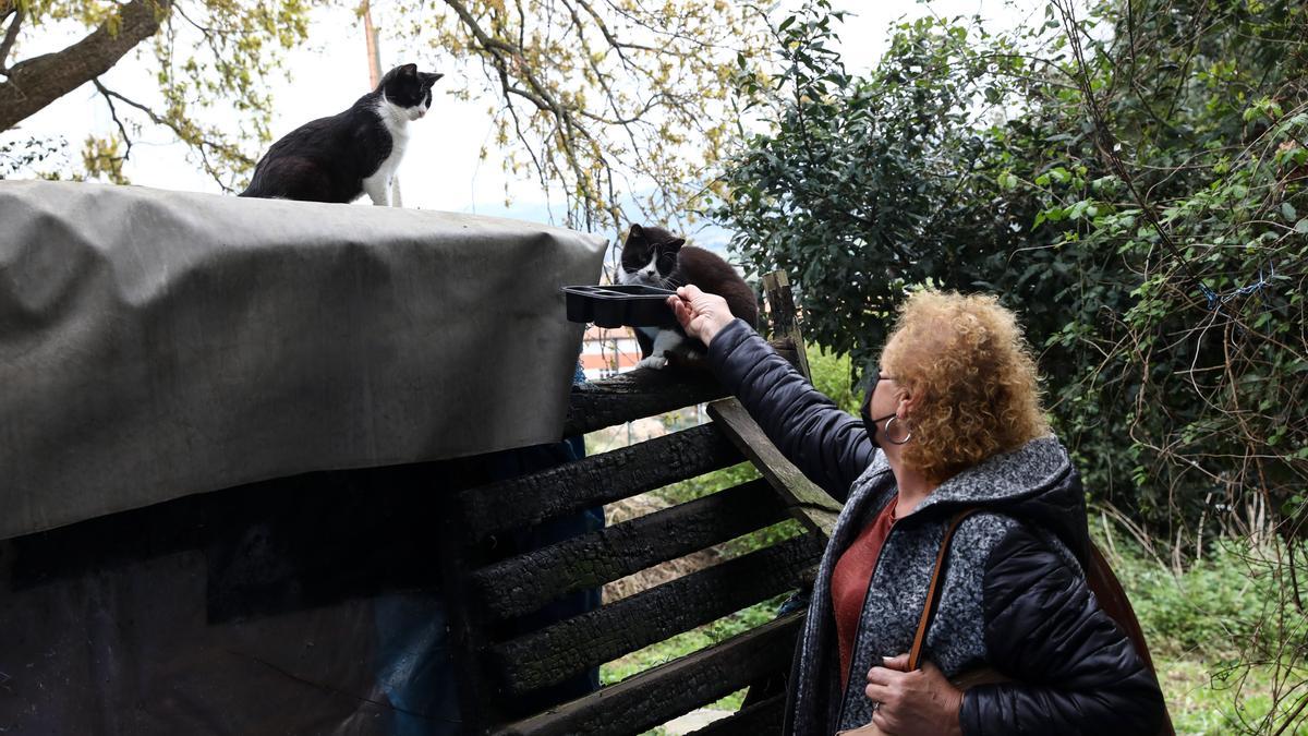 Aurina Rodríguez con un gato de la colonia de Ceares.