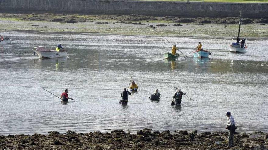 Mariscadores faenando en la ría de O Burgo.