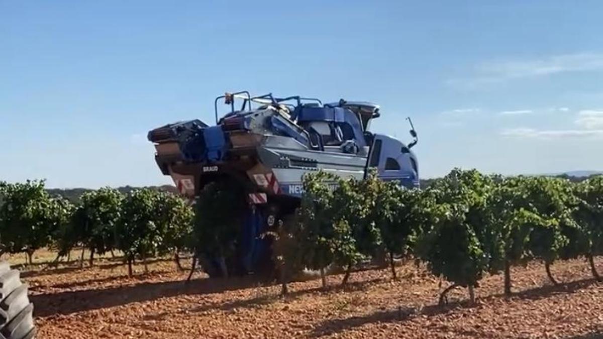 Temporada de cosecha en Benavente