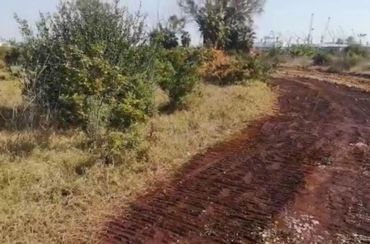Retirada de la maleza del solar de Benimar. | APV