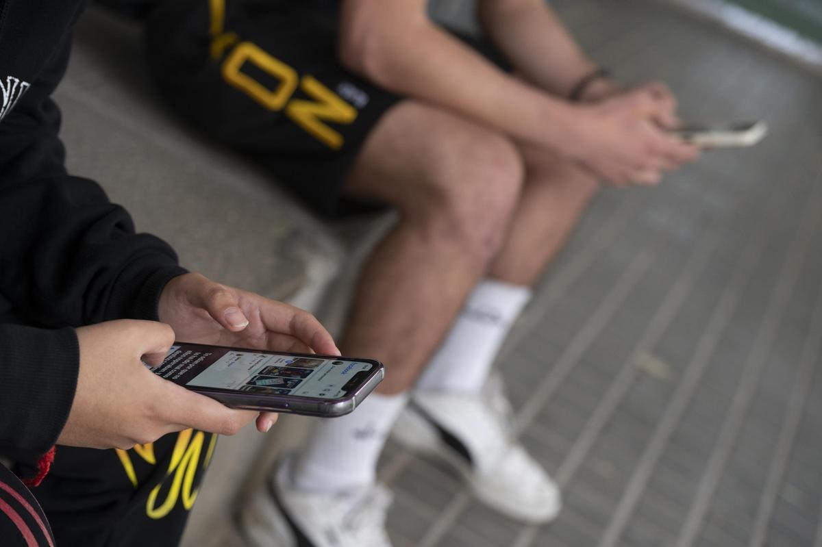 La mayor parte de los usuarios de la plataforma son hombres de entre 25 y 44 años