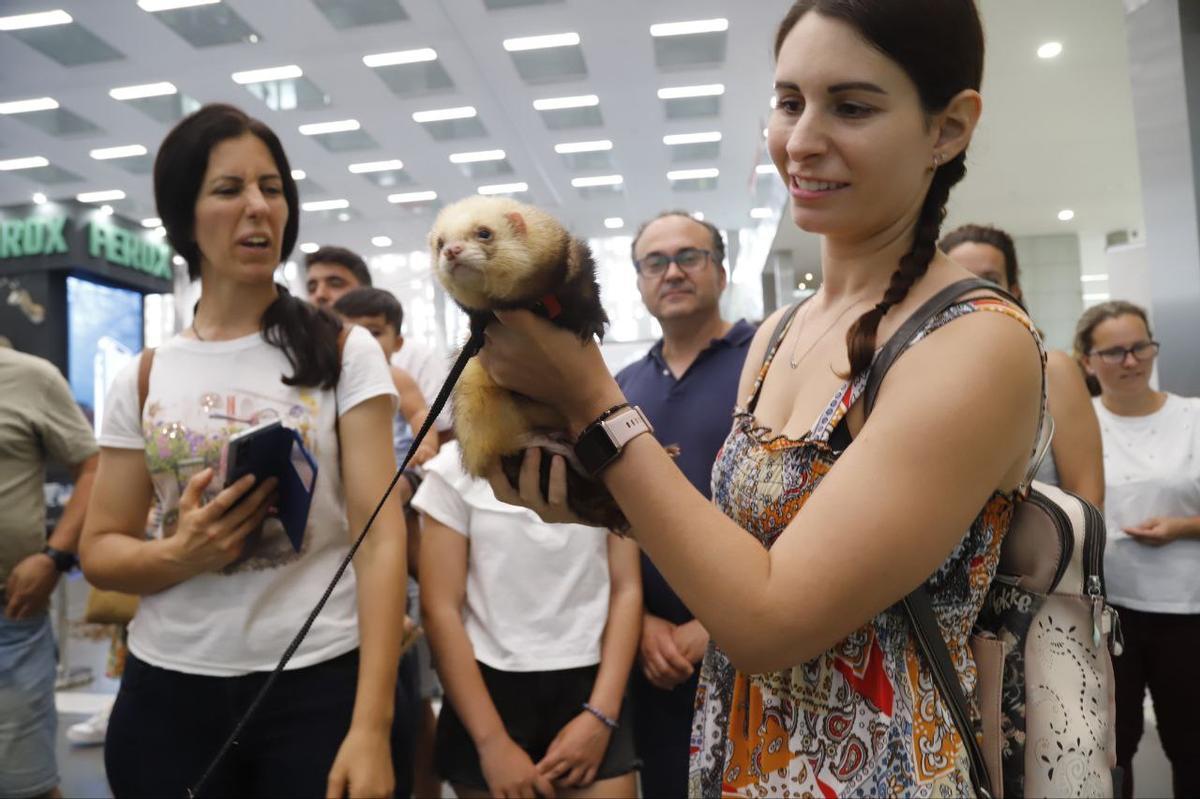 La feria Intercaza 2025, en imágenes