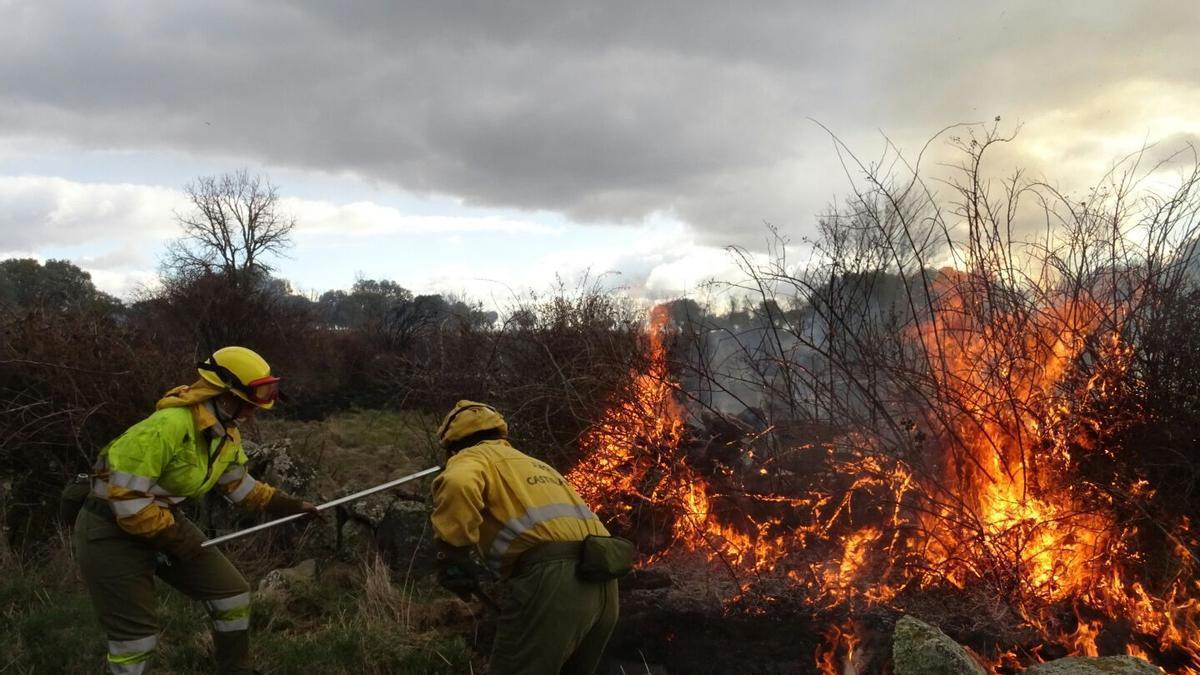 Trabajadores del operativo de la Junta apagan un incendio en la comarca de Sayago