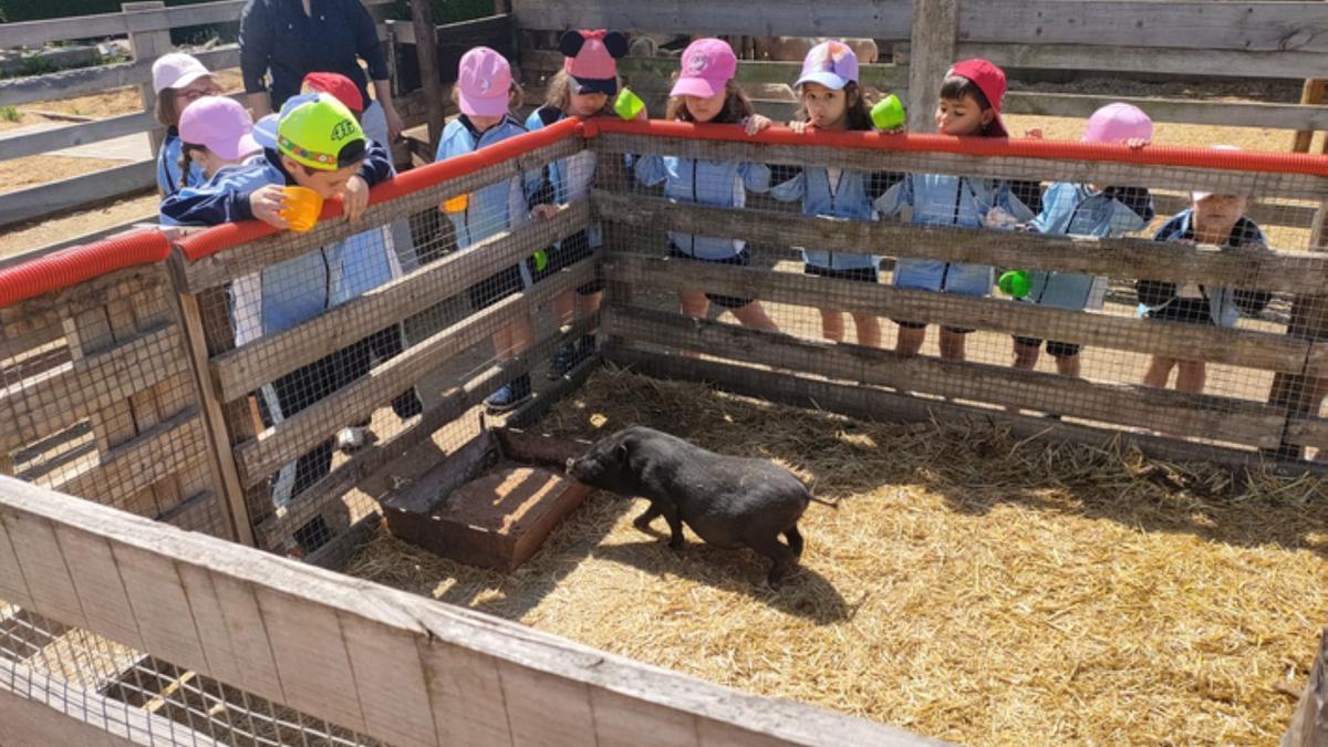 Alumnos de Infantil del colegio San Vicente de Paúl de Benavente, en una granja escuela.