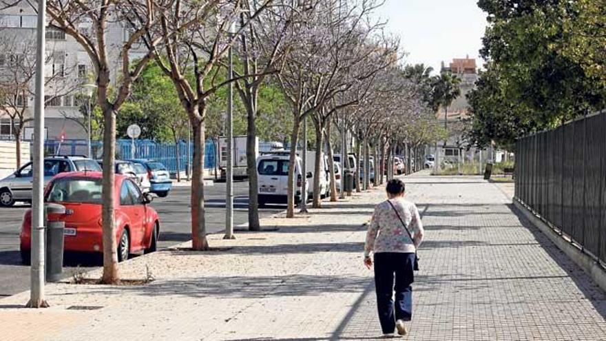 La calle Àngel Guimerà, en el barrio de la Plaza de Toros, está llena de jacarandas.