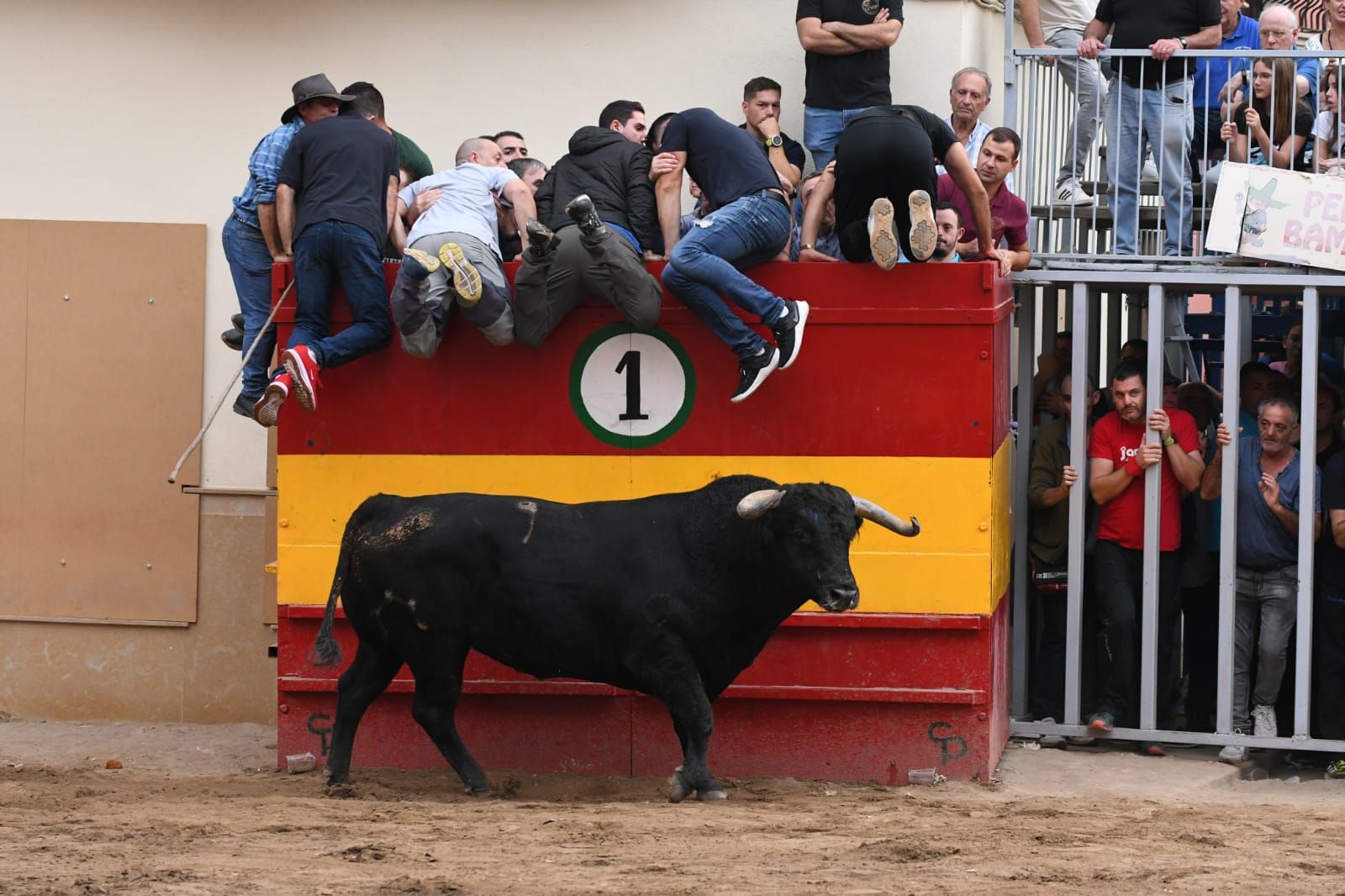 Exhibición de cuatro toros de Partida Resina en Onda