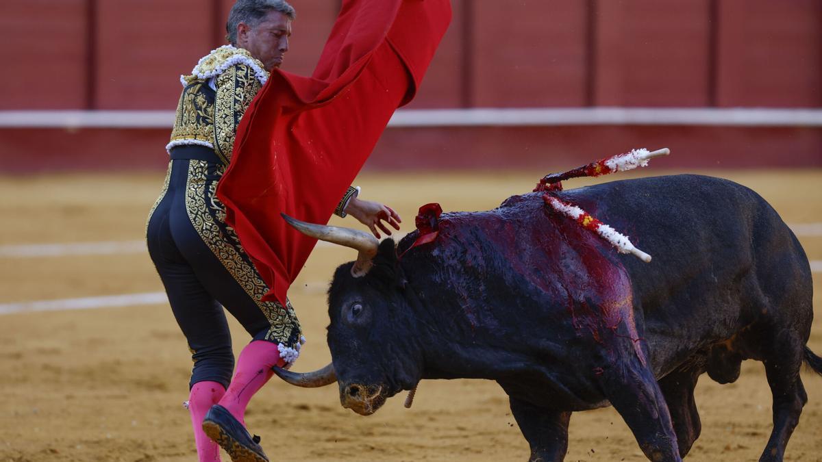 El diestro Manuel Escribano es alcanzado por el toro, durante el festejo correspondiente a la Feria de Málaga celebrado este viernes en la Plaza de la Malagueta