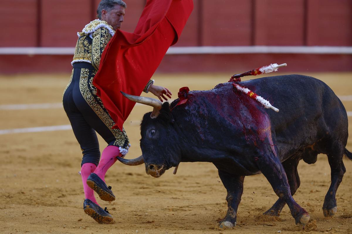 MÁLAGA, 21/08/2026.- El diestro Manuel Escribano es alcanzado por el toro, durante el festejo correspondiente a la Feria de Málaga celebrado este viernes en la Plaza de la Malagueta. EFE/Jorge Zapata