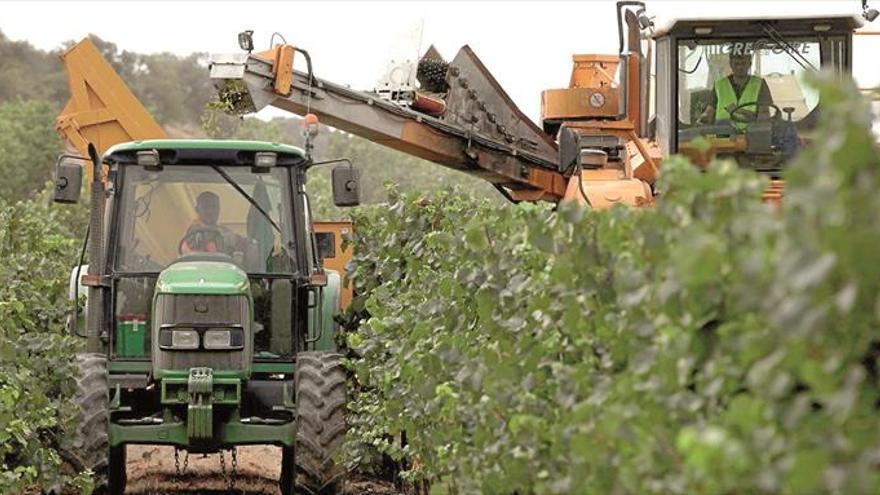 El vino de Castellón gana precio a la espera de la denominación de origen