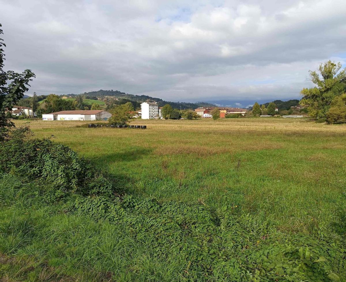 Vista parcial de la vega de Contranquil, en Cangas de Onís.