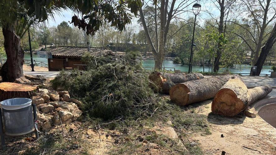 Anna pone a punto su Albufera con la eliminación y poda de arbolado para garantizar la seguridad en Pascua