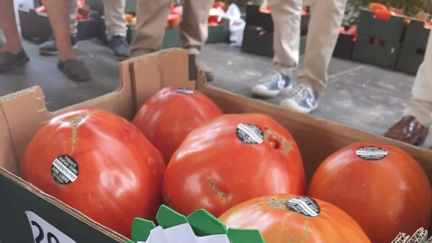 Sara Baras se lleva un lote de tomate huevo de toro de Coín por 3.700 euros