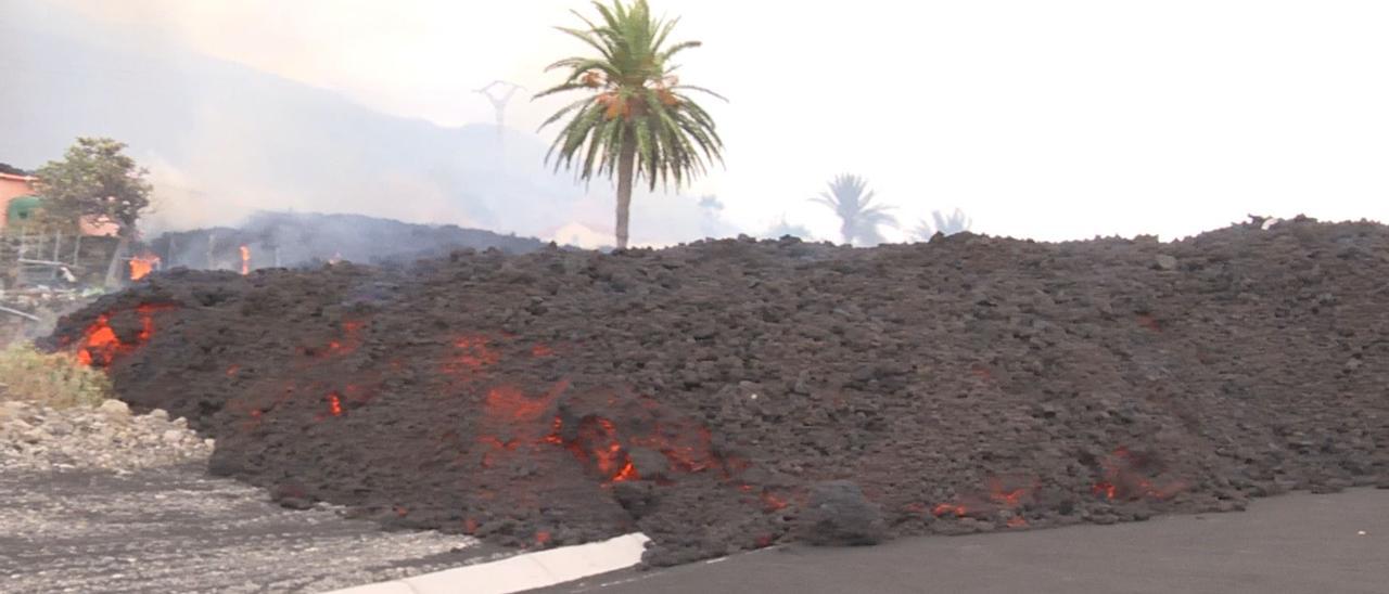 Pedro Sánchez y Ángel Víctor Torres visitan Tajuya y El Paraíso, afectadas por la lava de Cumbre Vieja