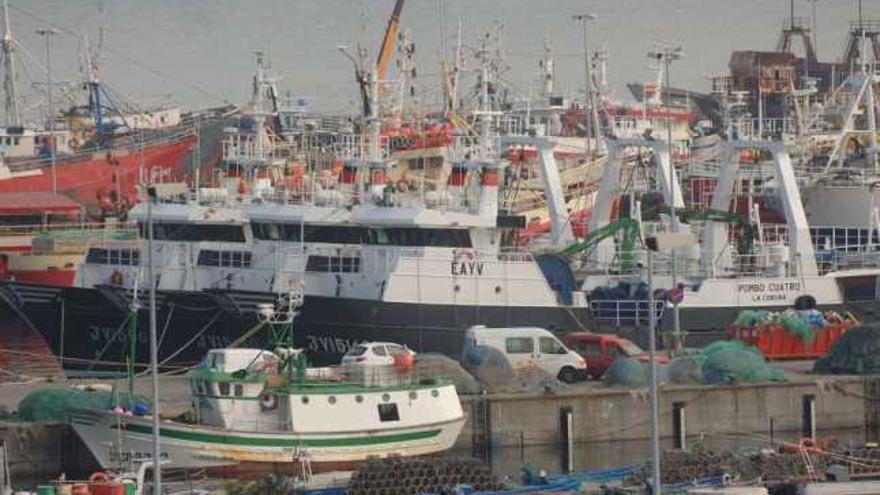 Flota amarrada en el muelle coruñés de Oza. / carlos pardellas