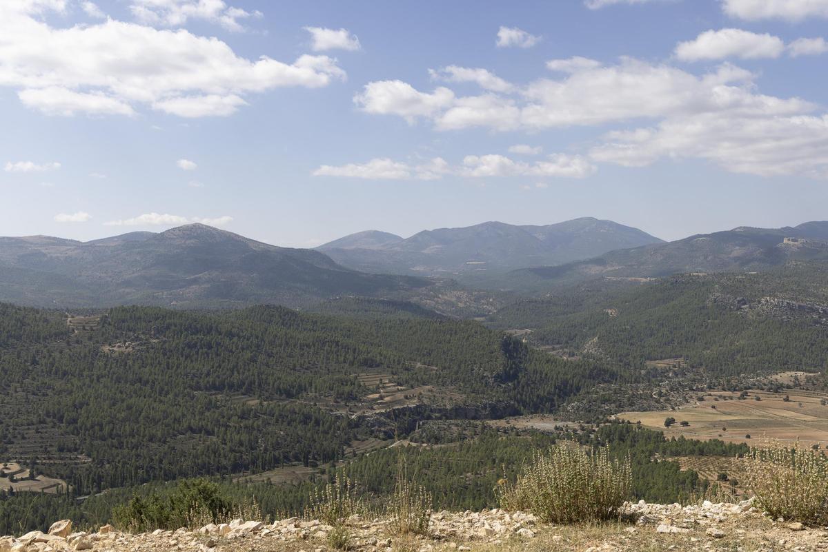 Vista desde la garita de vigilancia
