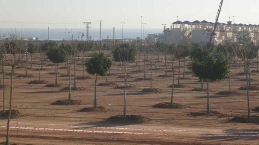 El primer camping de Pilar de la Horadada abrirá en junio