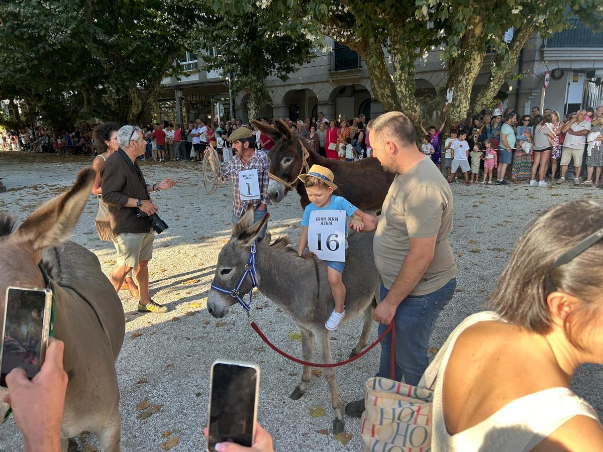 O Gran Derbi Asnal regresa a Padrón en clave de homenaxe aos burros fariñeiros