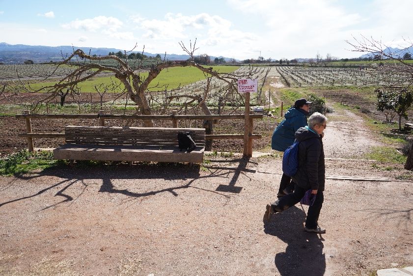 Transéquia 2024: Busca't a les fotos