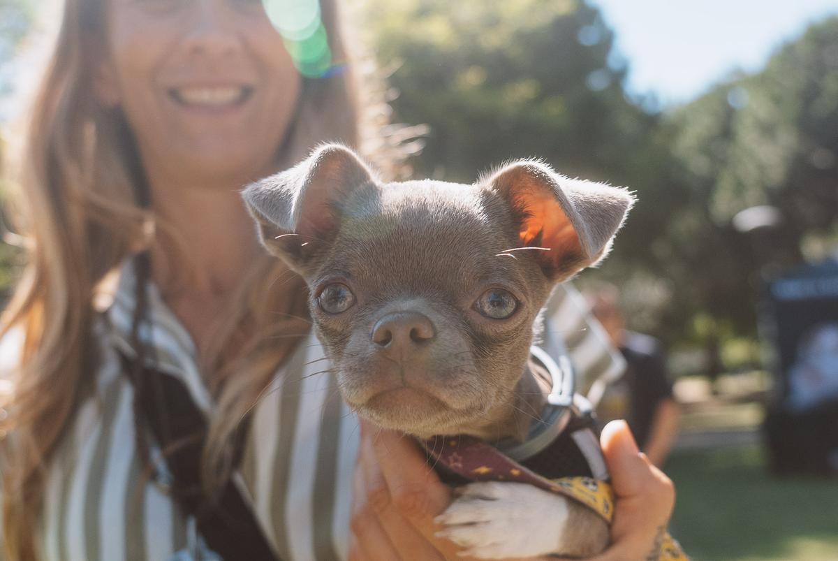 Un momento de Guau CANet Fest.