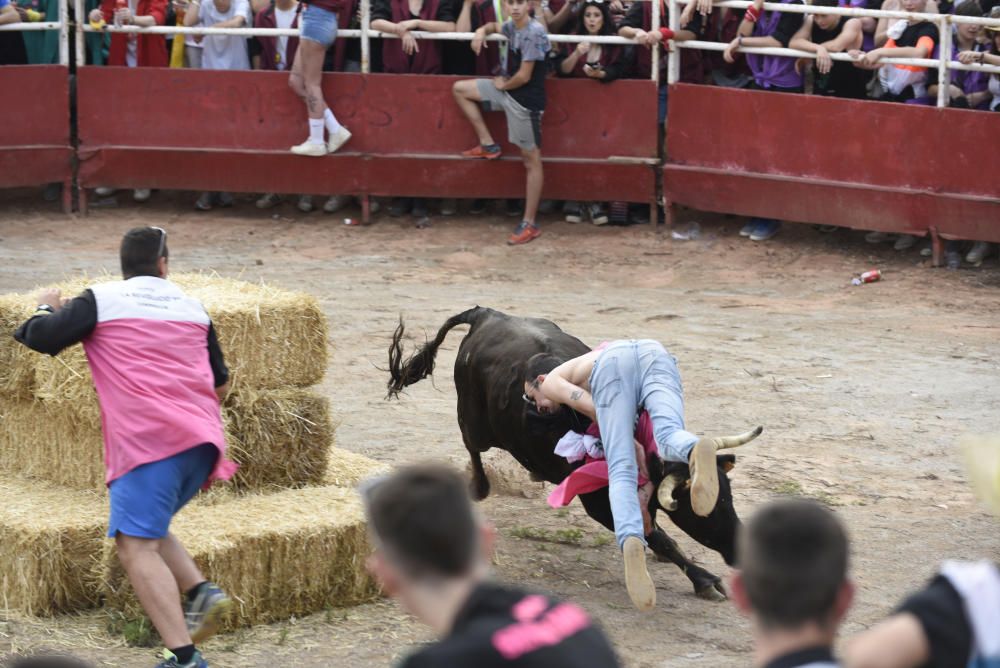 Vaquetes de Santpedor 2018