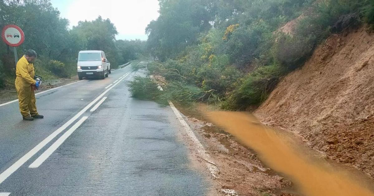 Actuación en una de las carreteras de la provincia de Huelva este sábado.