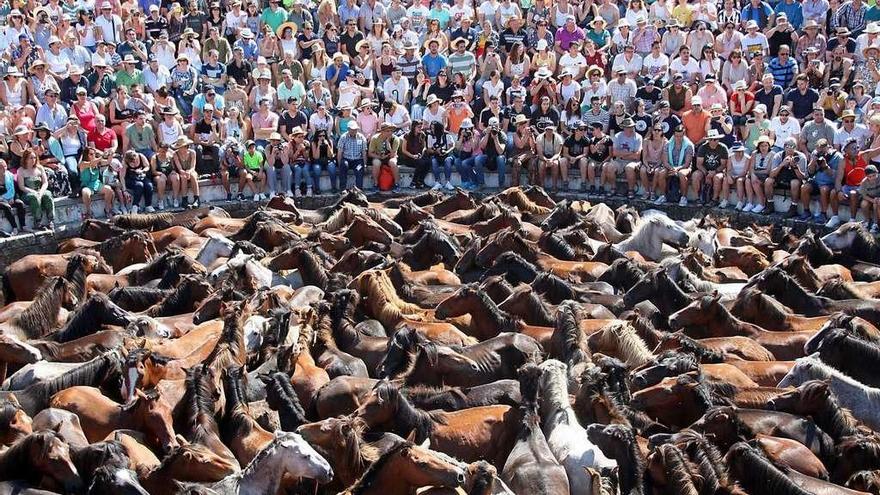 Panorámica del recinto del curro de Sabucedo.