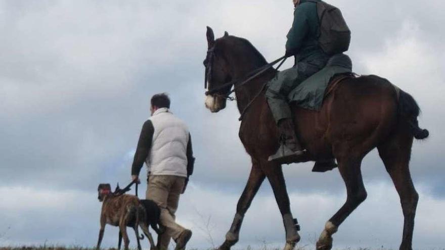 El traillero avanza con los perros ante la mirada de un juez.