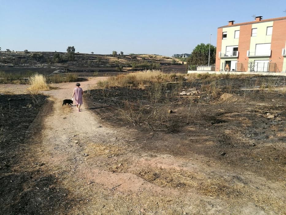 El desolador paisatge després del foc