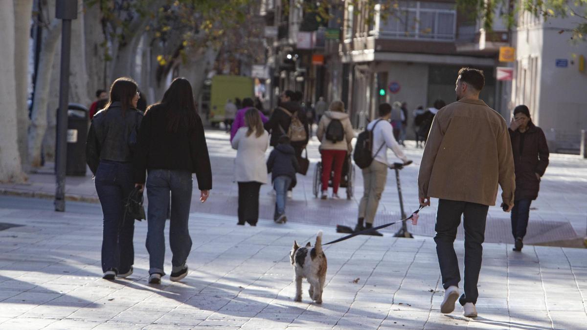 Los dueños de un perro pasean con su mascota, ayer en l’Albereda de Xàtiva.