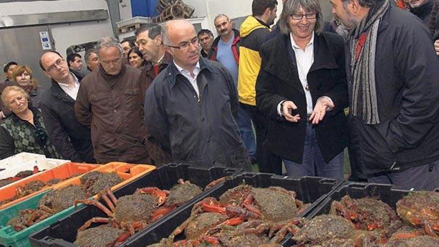 La conselleira de Mar conversa con el patrón mayor cambadés y el presidente de Portos sobre el estado de las centollas, en la lonja.  //  Muñiz