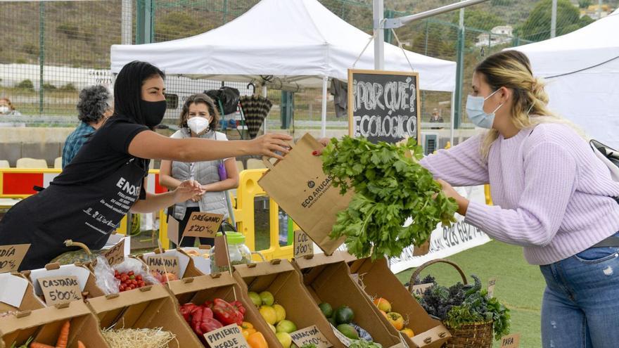 Gáldar capitaliza el ocio del fin de semana con la feria comarcal Enorte