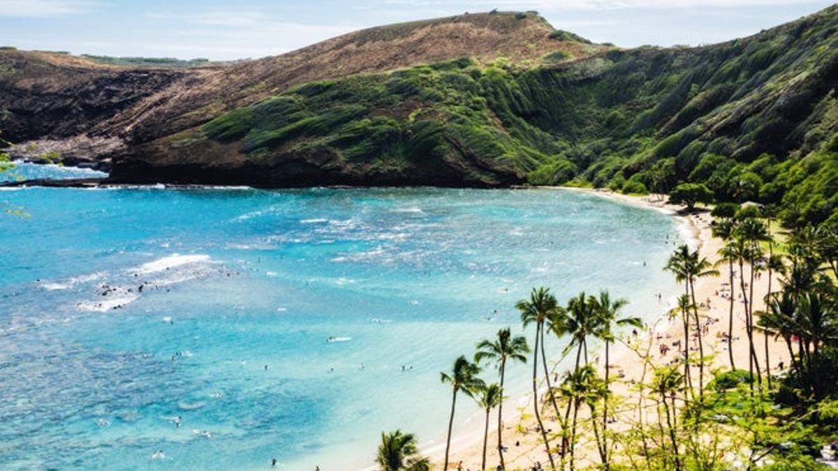 Sol, playa y surf en Oahu