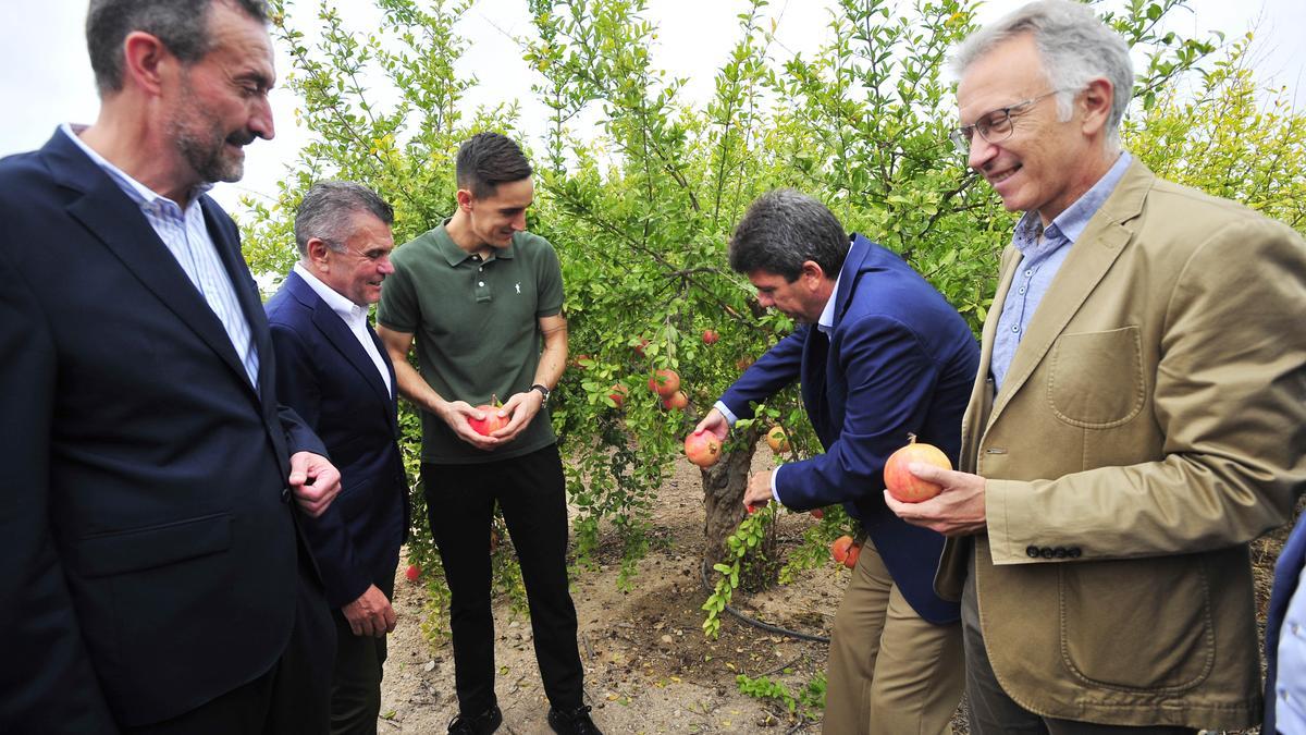 Carlos Mazón corta una granada ante la atenta mirada del alcalde de Elche, Carlos González,