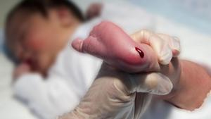 El cribratge neonatal topa amb la desigualtat territorial