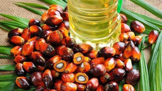 lpedragosa37373625 aceite de palma170220191635