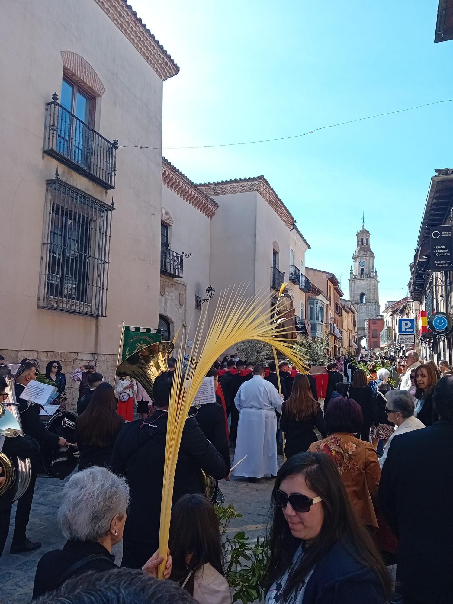 GALERÍA | Procesión de "La Borriquilla" el Domingo de Ramos en Toro