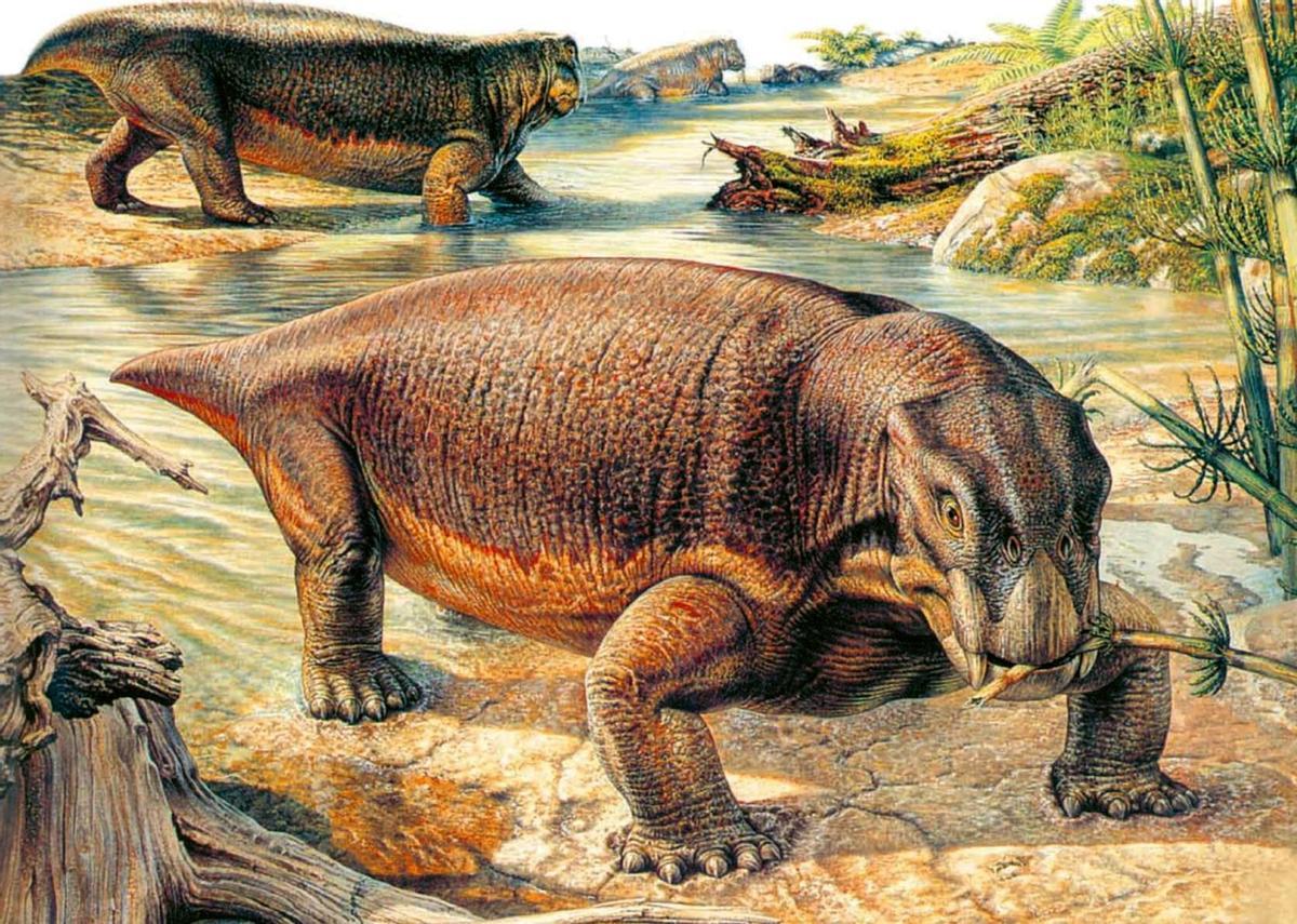Un 'lystrosaurus', animal del pérmico